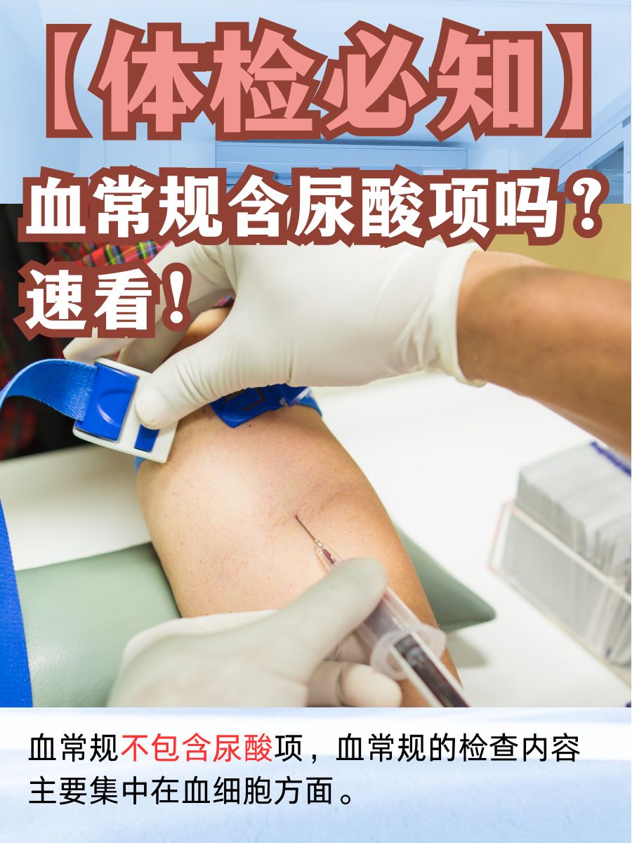 【体检需知】血常规含尿酸项吗?速看!