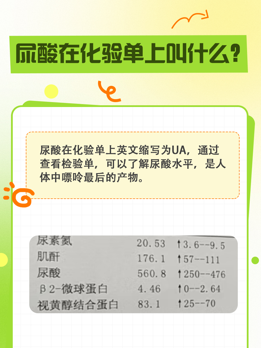 尿酸在化验单上，身份大揭秘