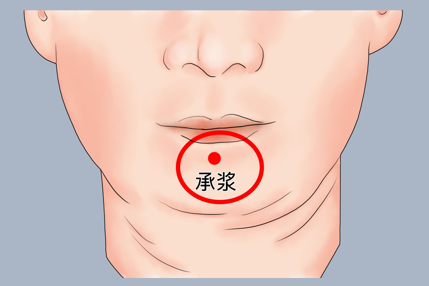 承浆穴:取正坐位,承浆穴位于面部,下唇正中下方的凹陷处