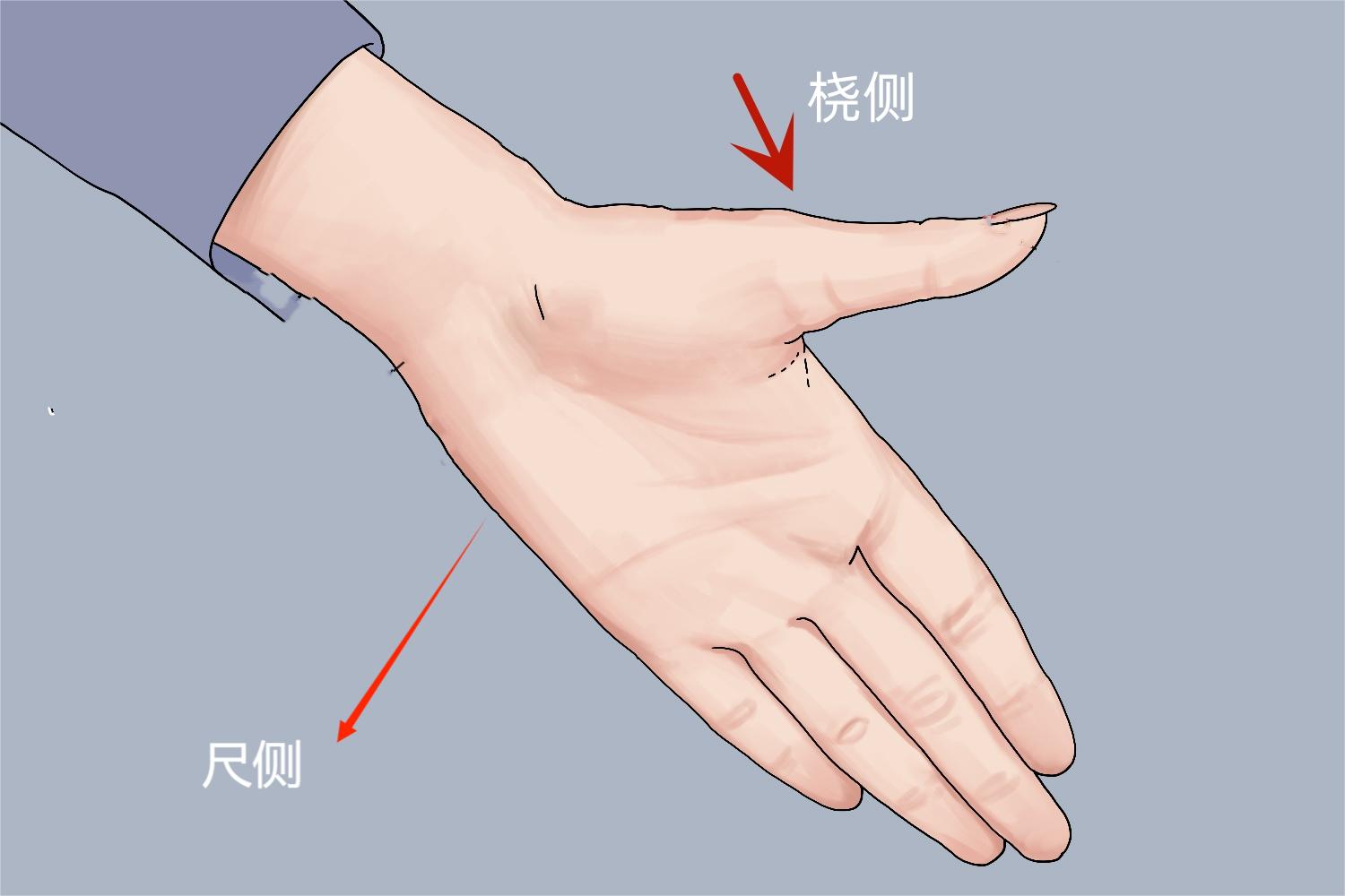 手掌尺侧位置图