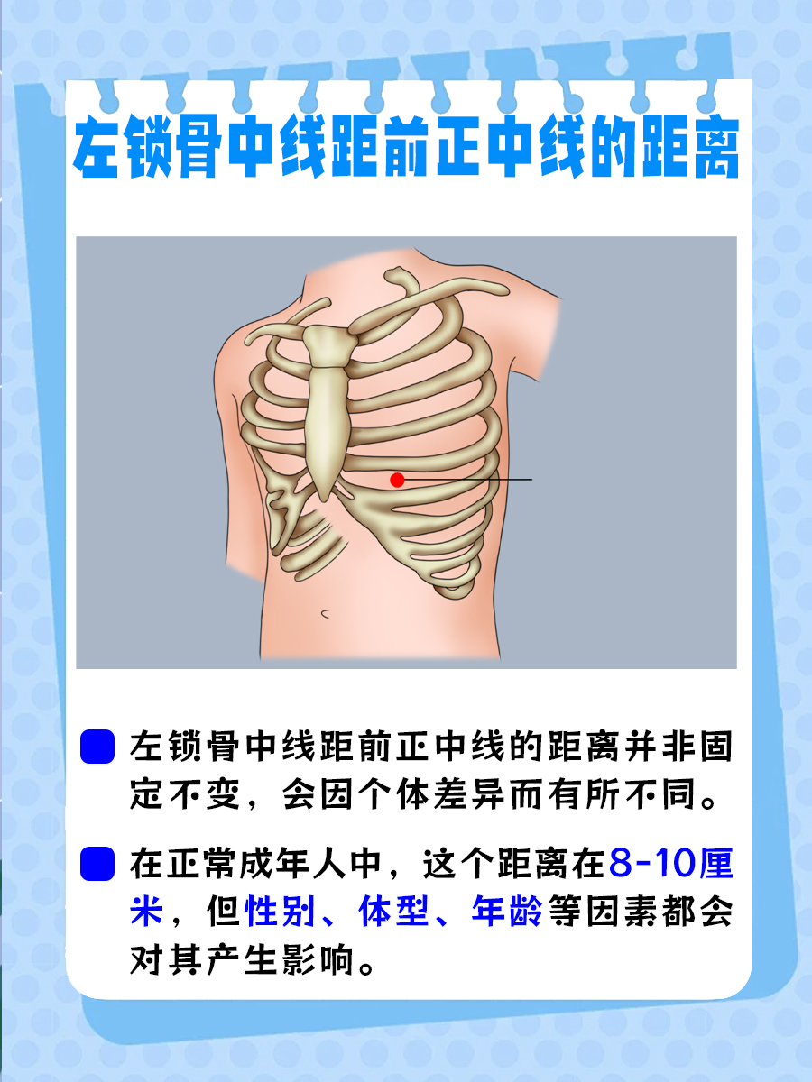 揭秘：左锁骨中线距前正中线的距离