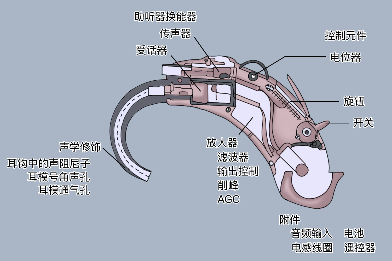 耳背式助听器结构图