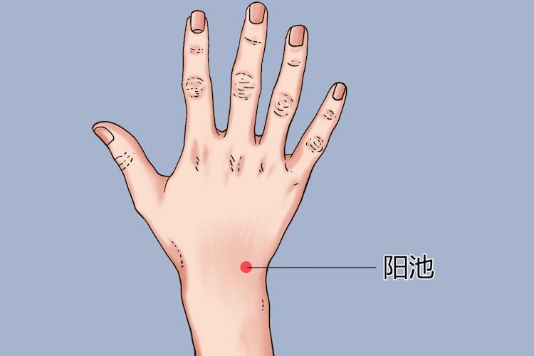 阳池穴位置图 阳池穴位置图