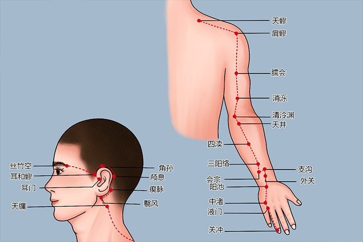 手少阳三焦经循行路线图