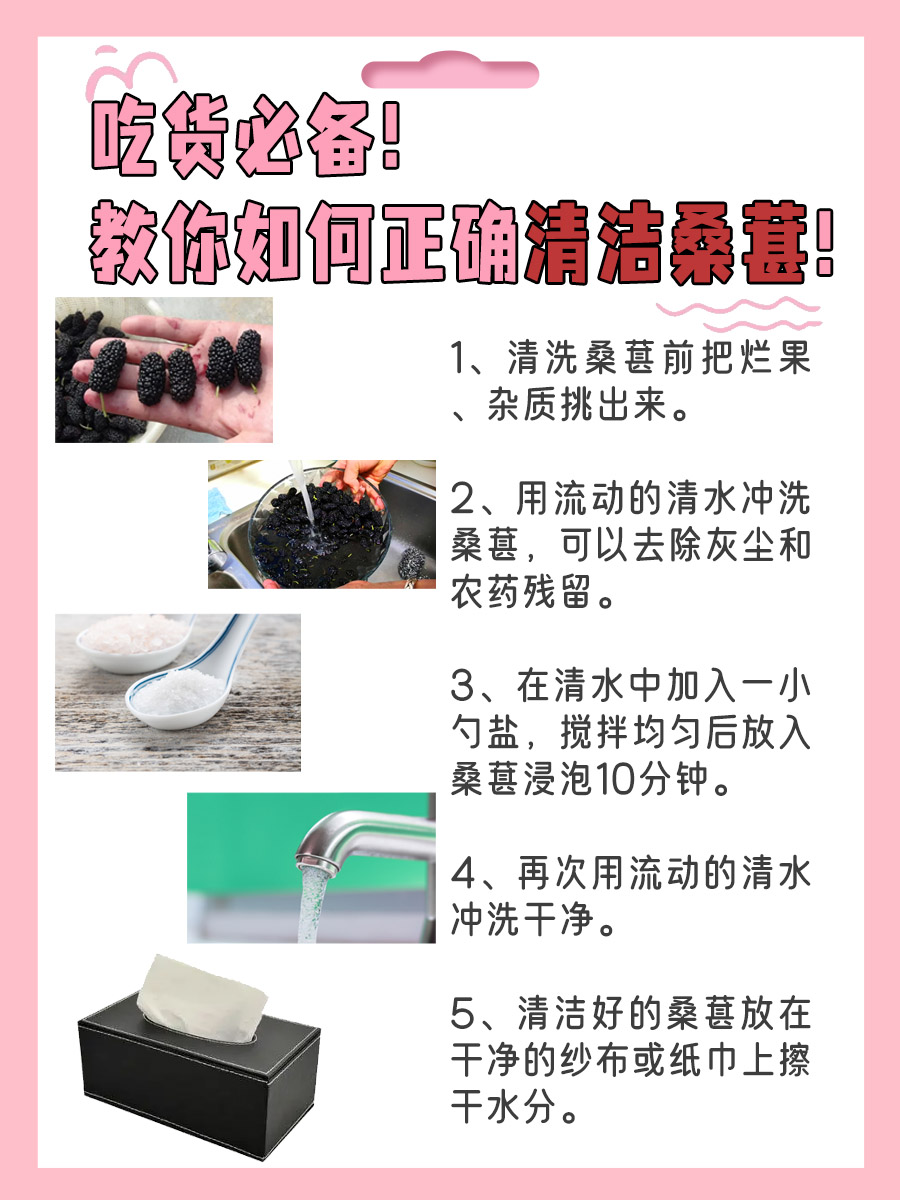 吃货必备！教你如何正确清洁桑葚！