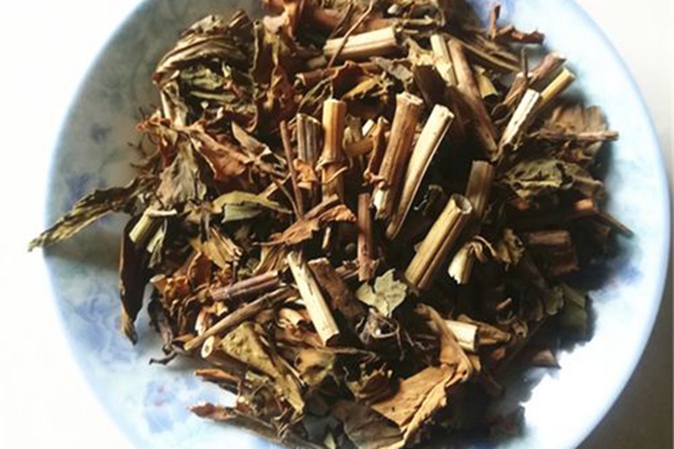 白花败酱草药材图 白花败酱草药材图