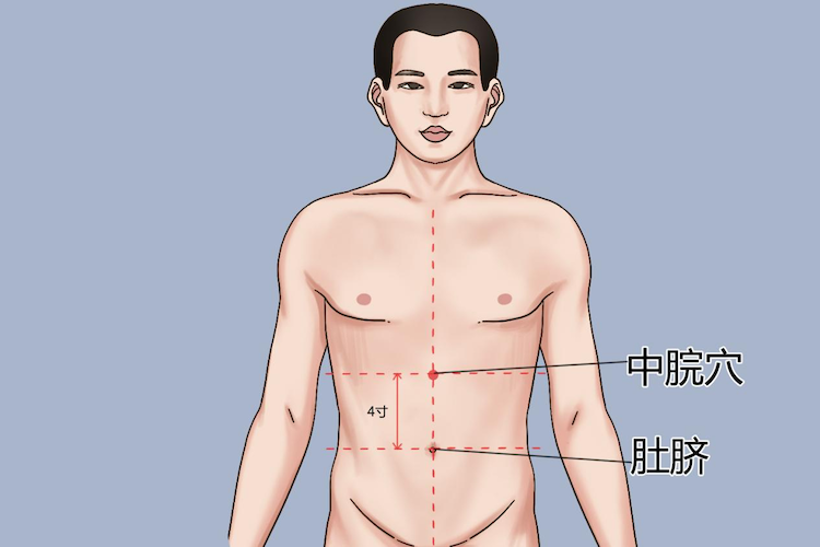 中脘穴位置图