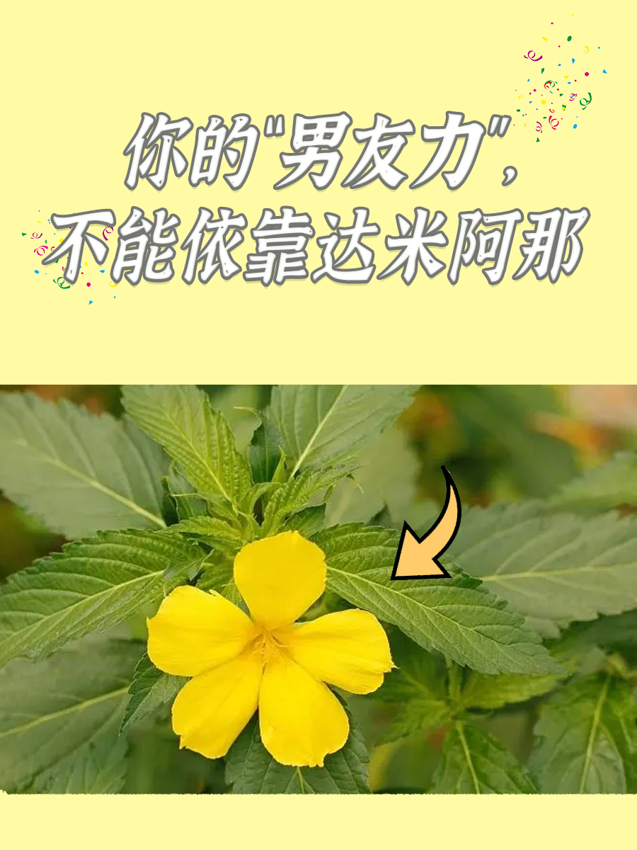 你的“男友力”，不能依靠达米阿那
