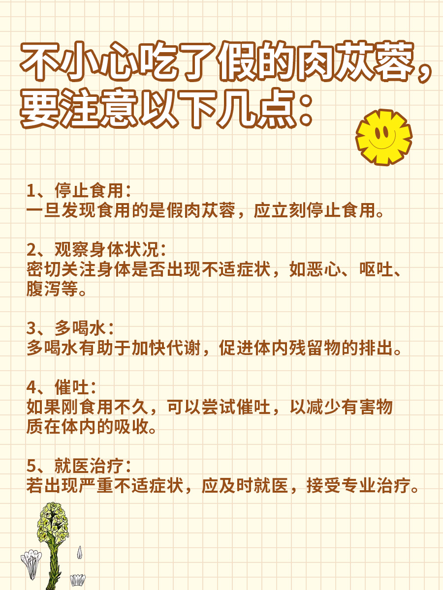 怎么辨别真假肉苁蓉？一文带你了解！