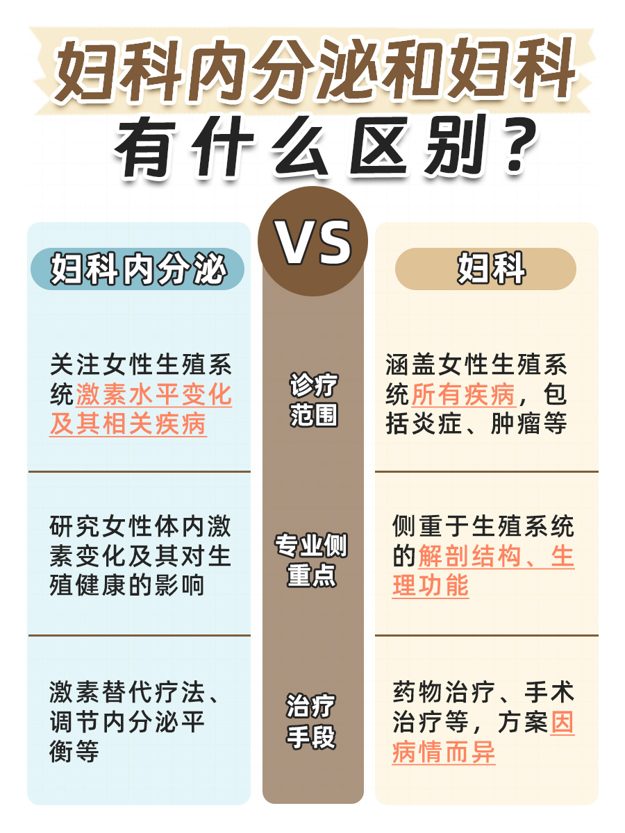 妇科内分泌与妇科：两者的区别