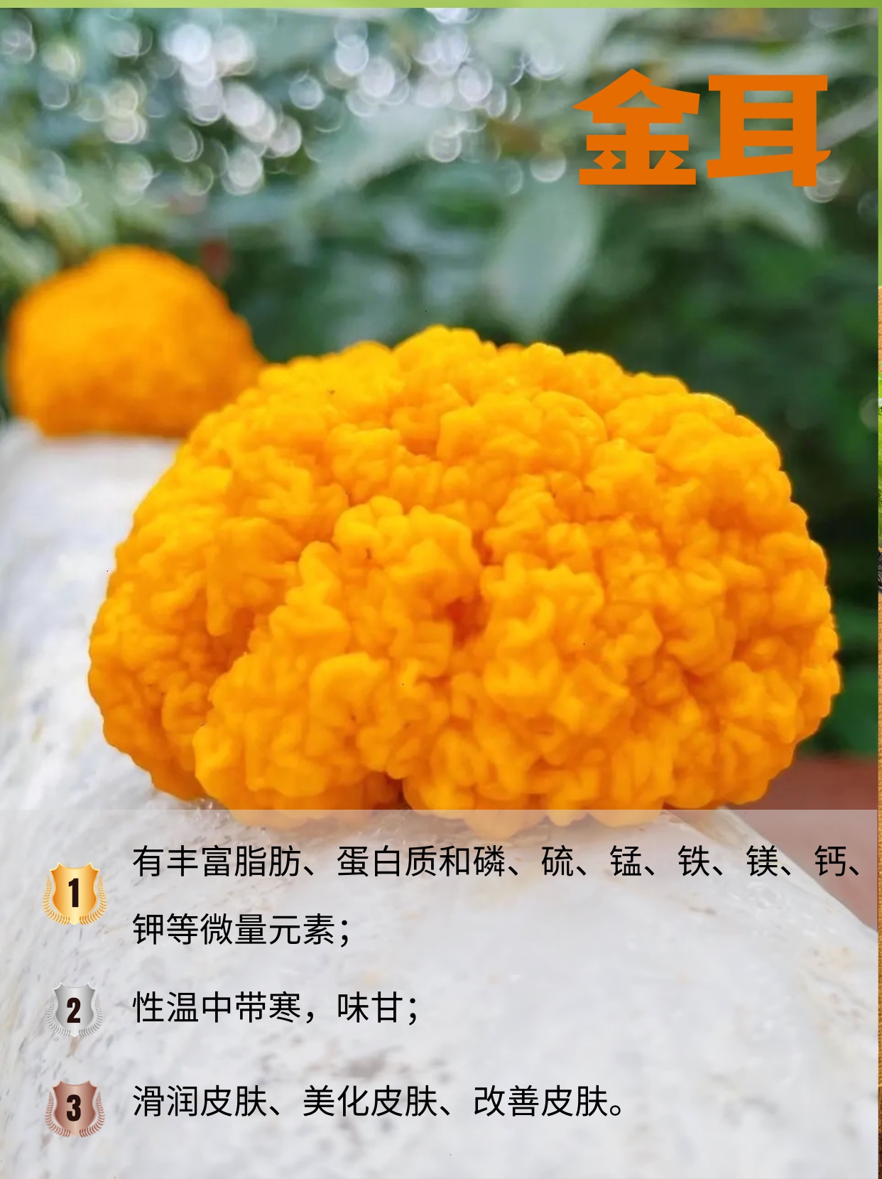 温补金耳羹,美容养颜好宝贝~