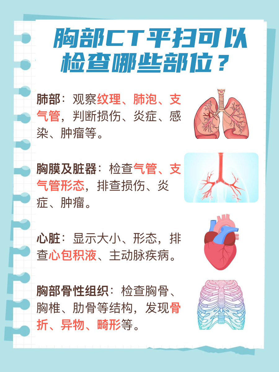 胸部CT平扫：可以检查的部位名单来了