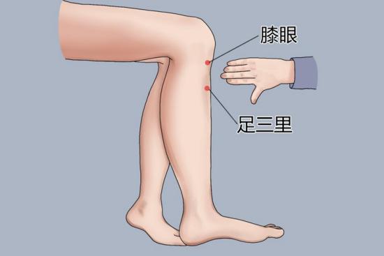 足三里穴位置图