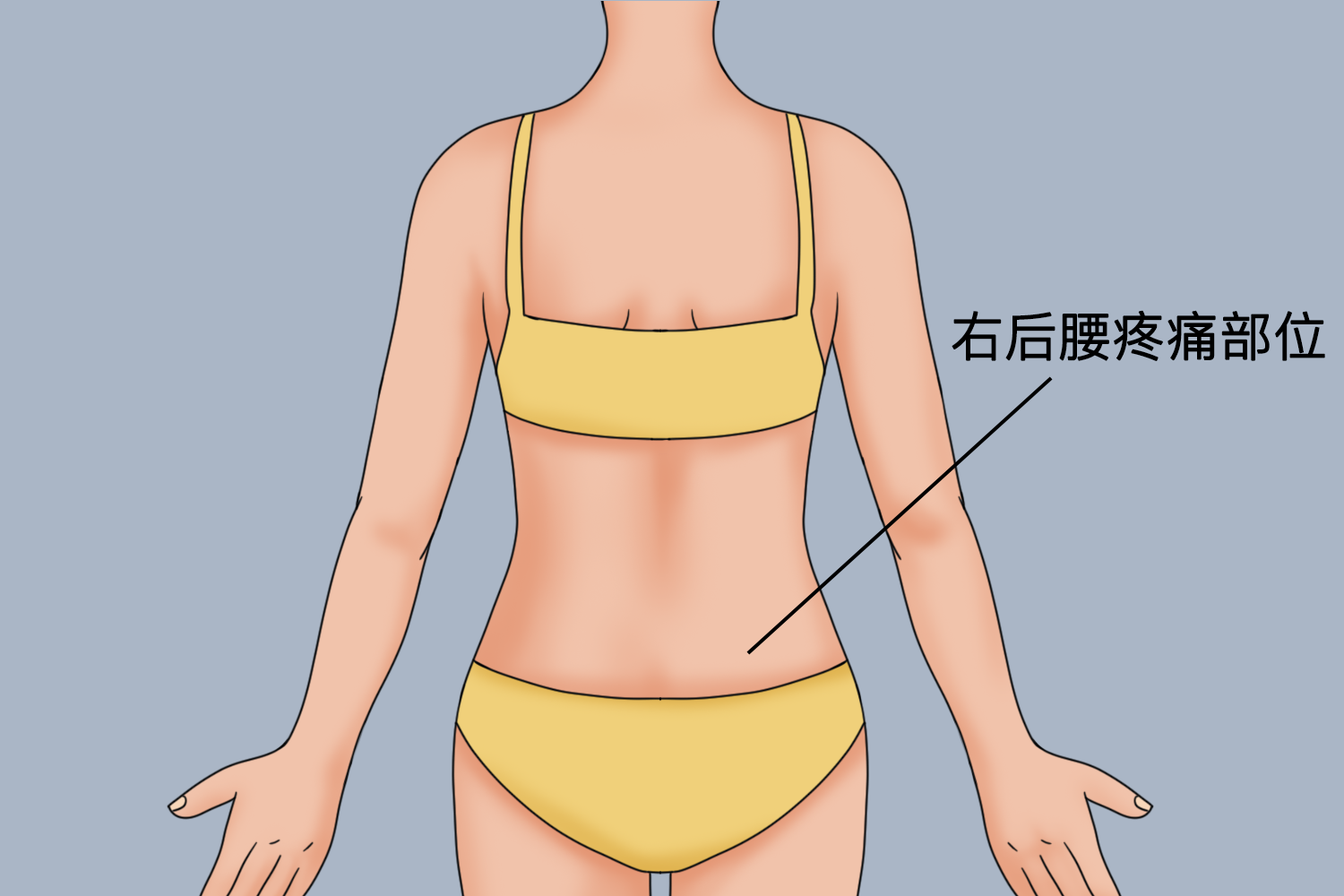 右后腰疼痛位置图详解图片