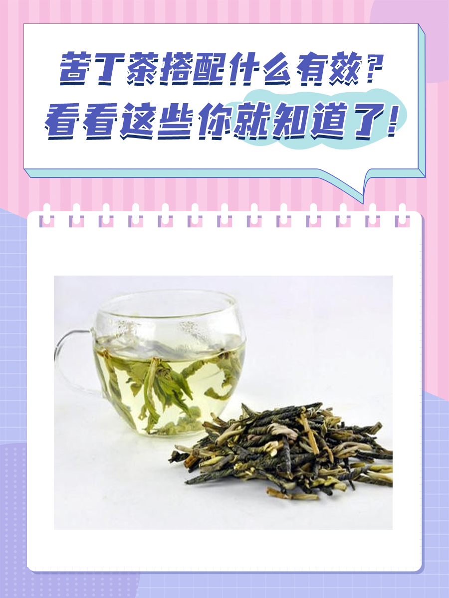 苦丁茶搭配什么有效？看看这些你就知道了！
