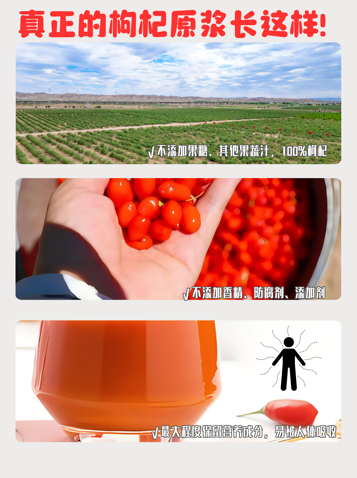 枸杞原浆有假的吗？擦亮双眼！长这样的千万别碰