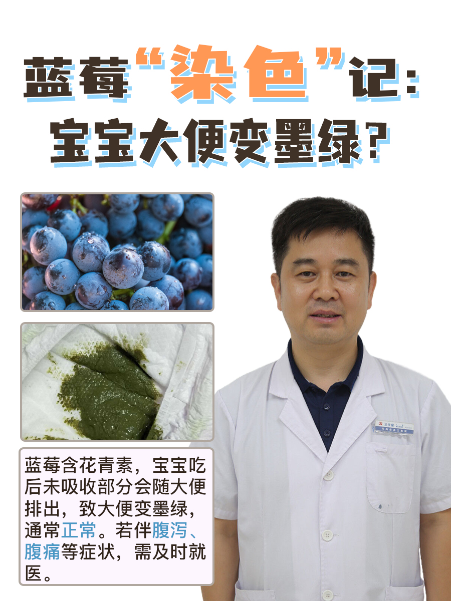 蓝莓“染色”记：宝宝大便变墨绿？