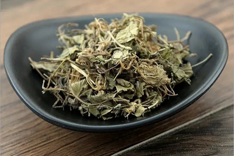 积雪草药材图 积雪草药材图