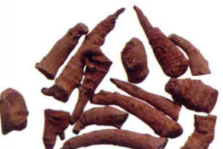 三七筋条图 三七筋条图