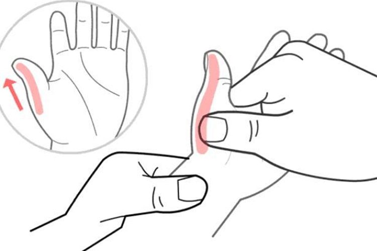 清脾经正确手法图