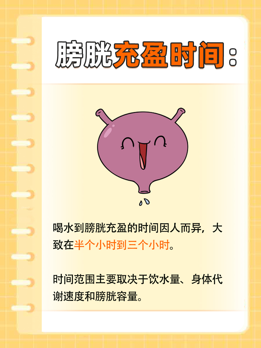 揭秘:喝水多久能到膀胱充盈?
