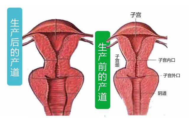 产后妈妈的身体变化和应对措施