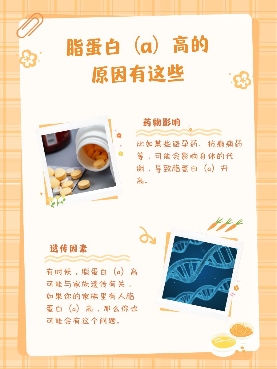 体检查出脂蛋白（a）高，到底严不严重