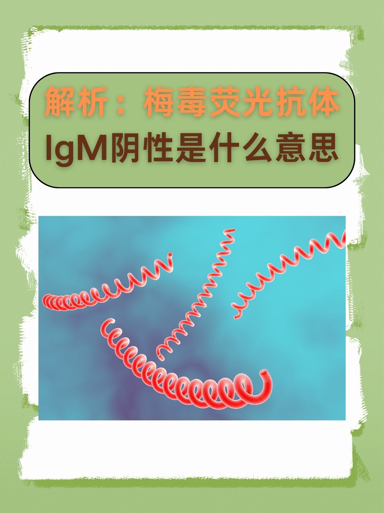 解析：梅毒荧光抗体IgM阴性是什么意思