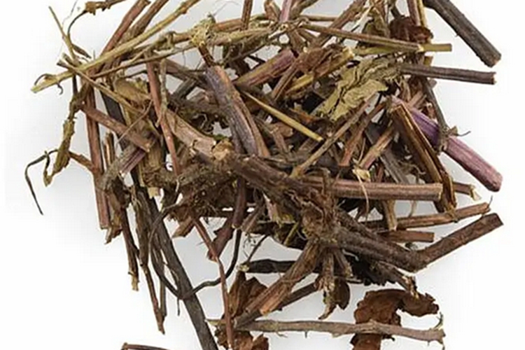 中药仙灵草图 中药仙灵草图