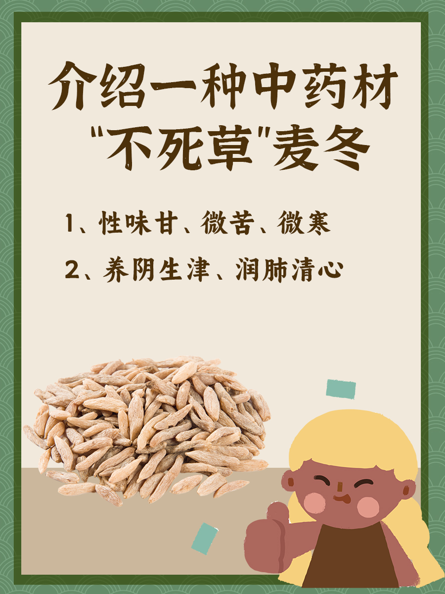 介绍一种中药材—“不死草”麦冬