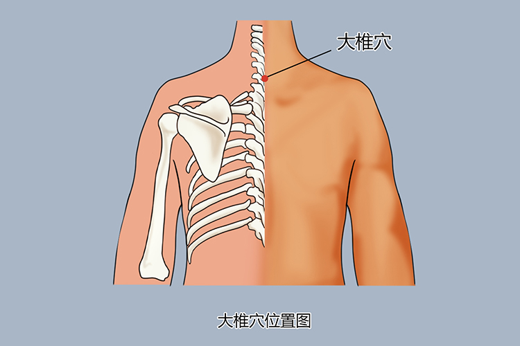 大椎穴位置图