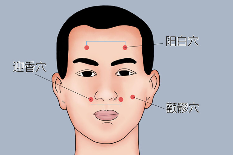 迎香穴、阳白穴、颧髎穴位置图