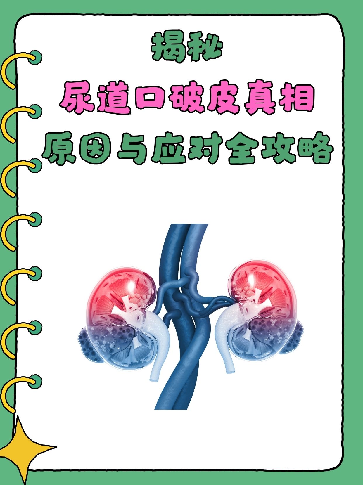 揭秘尿道口破皮真相:原因与应对全攻略