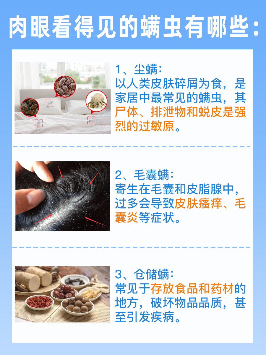 肉眼看得见的螨虫图片