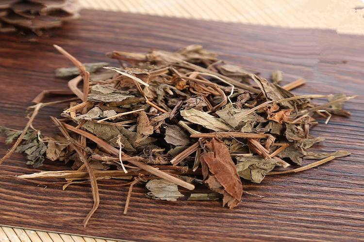 中药猪鼻孔草图 中药猪鼻孔草图