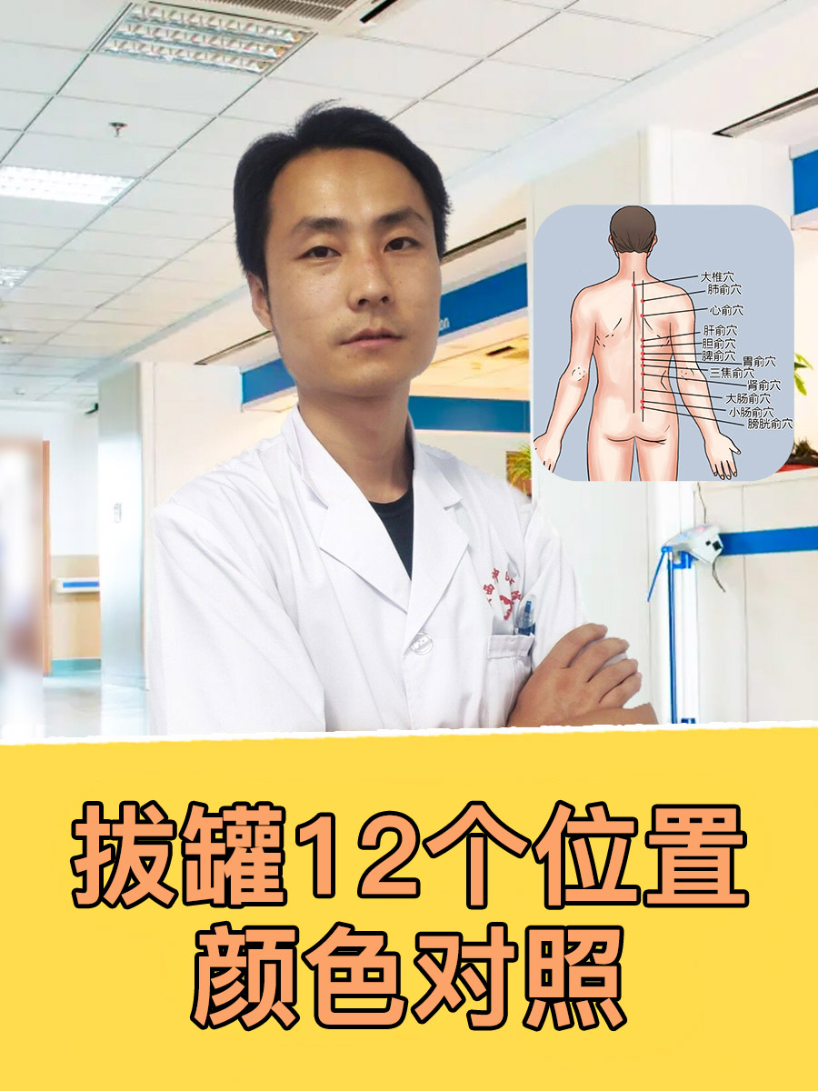 拔罐12个位置颜色对照