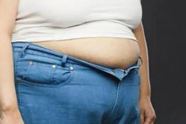 皮下脂肪增厚图