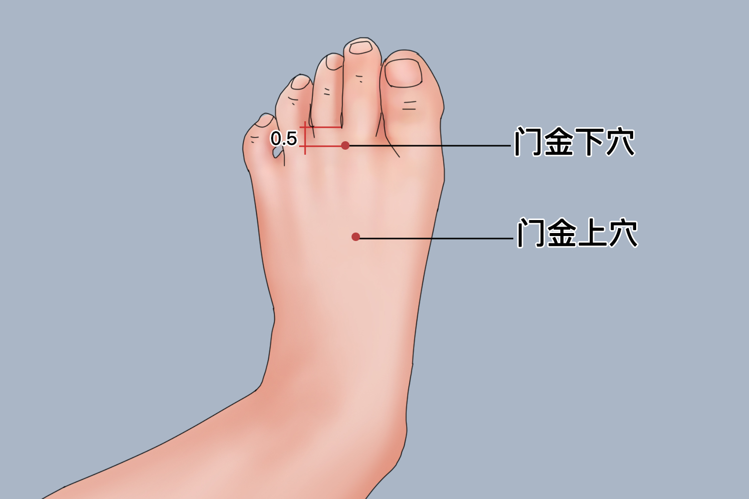 门金董氏针灸位置_有来医生