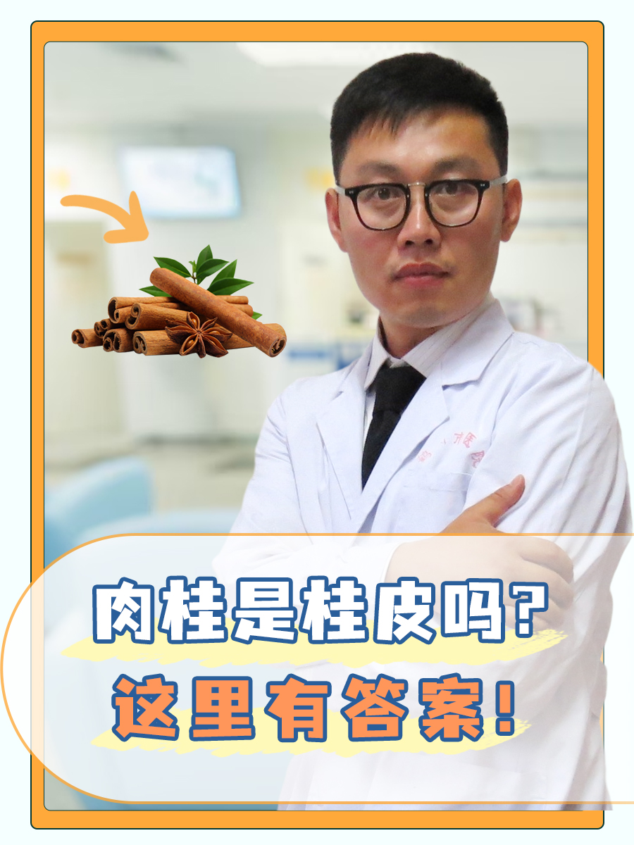 肉桂是桂皮吗？这里有答案！