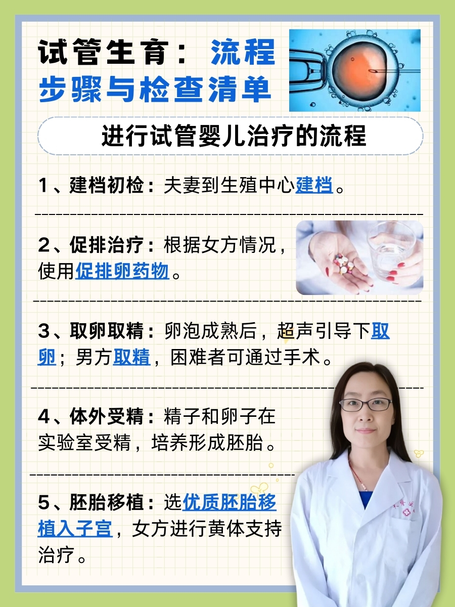 试管生育:流程步骤与检查清单