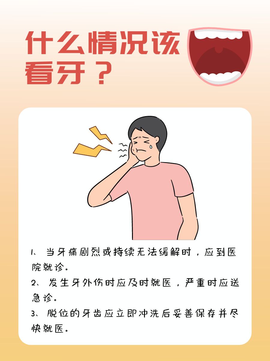 口腔探秘：跟着名称图来轻松了解