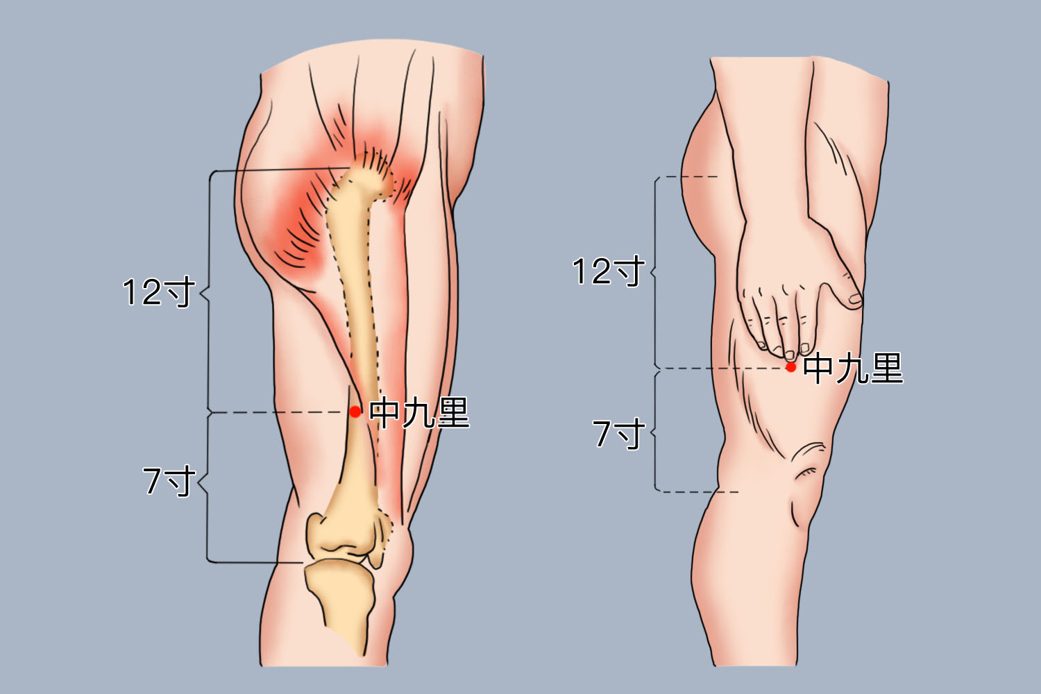 中九里准确位置图