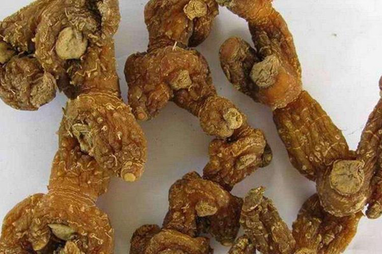 多花黄精药材图