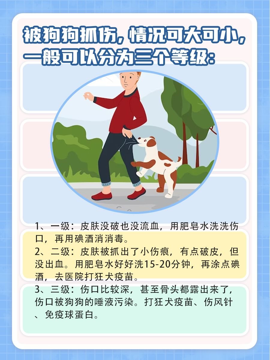 被狗抓了要不要打疫苗，这个判断方法记着！