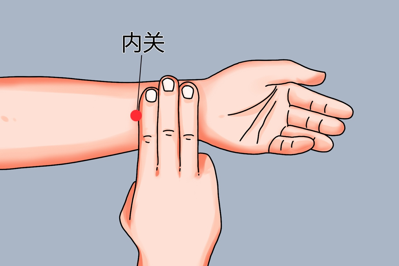 内关穴位置图
