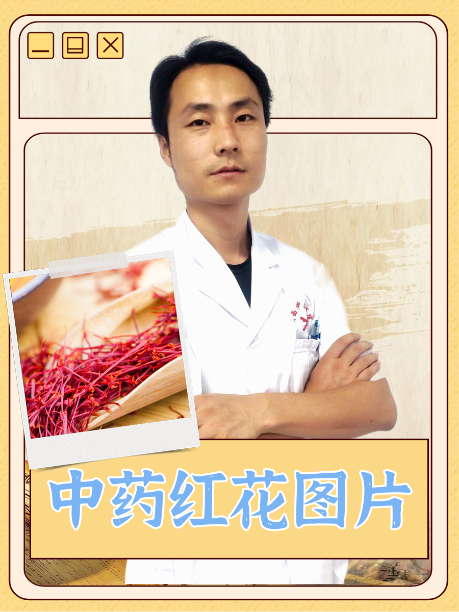 中药红花图片