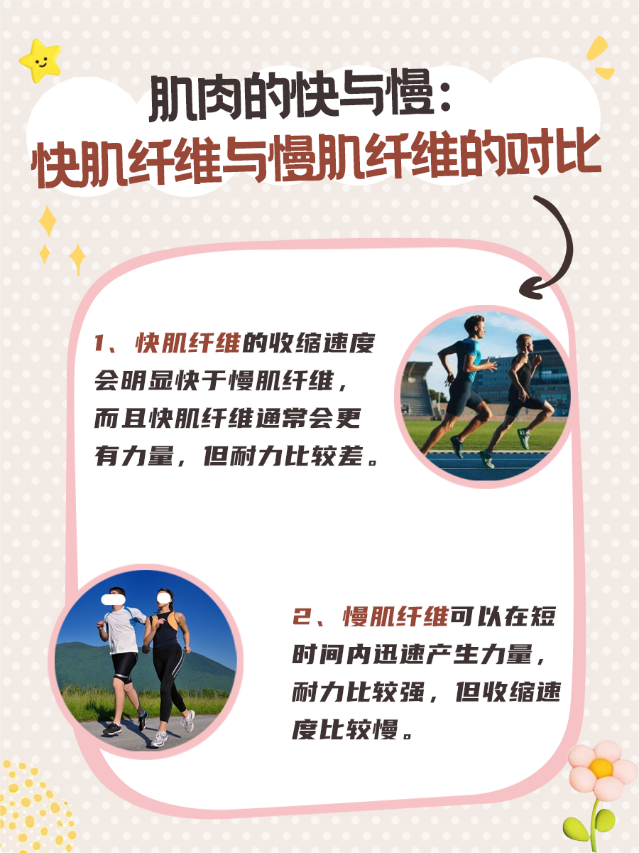 肌肉的快与慢：快肌纤维与慢肌纤维的对比