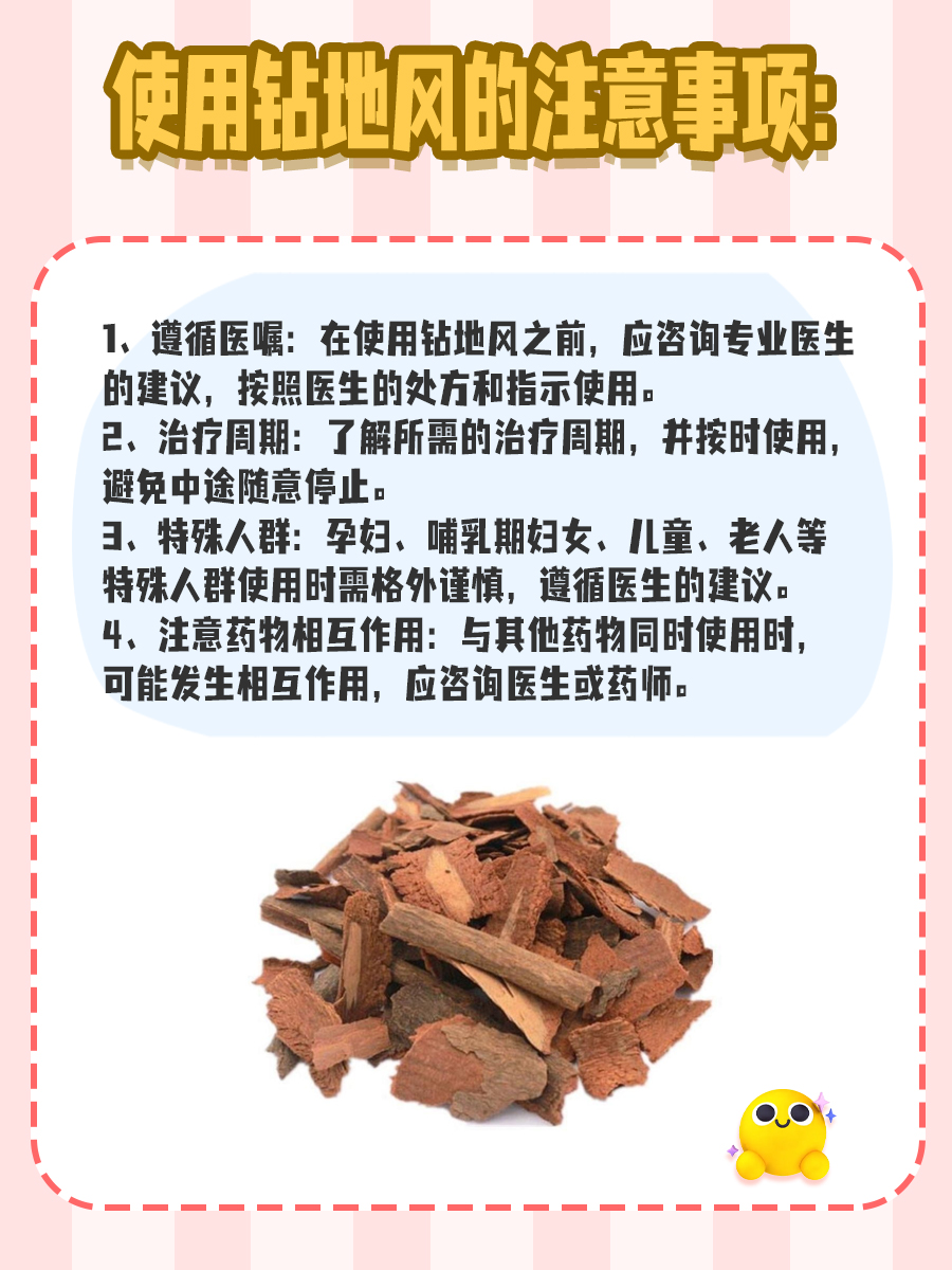 钻地风，你了解吗？揭秘它的别名与功效
