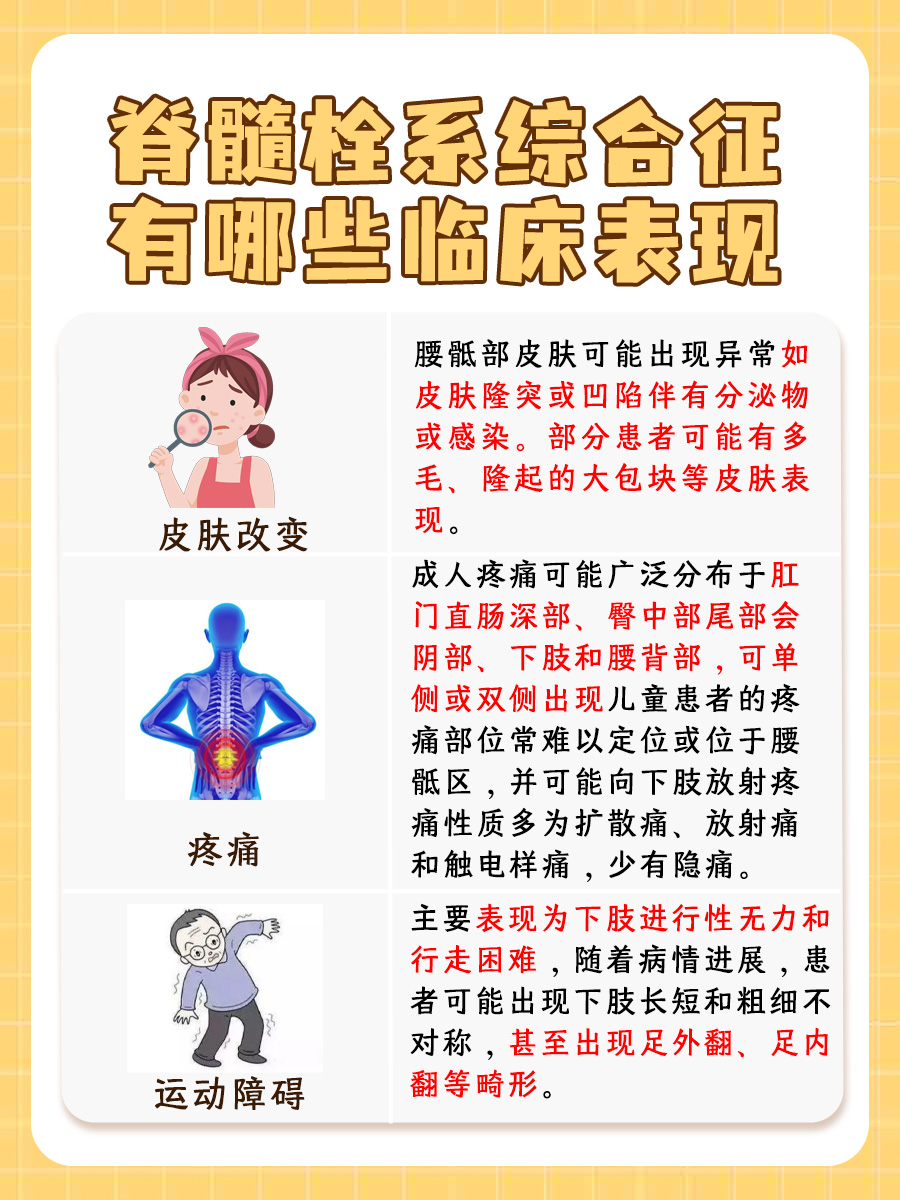 深入了解脊髓栓系综合征:多样临床表现全解析
