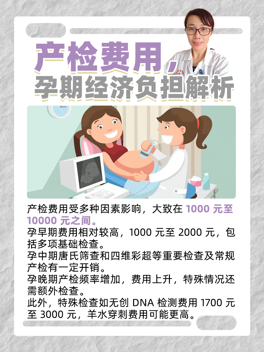 产检费用，孕期经济负担解析